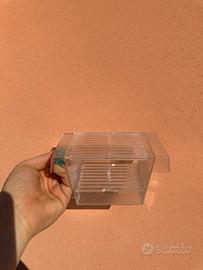 Nursery/sala parto pesci Amtra