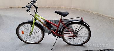 Bicicletta 24