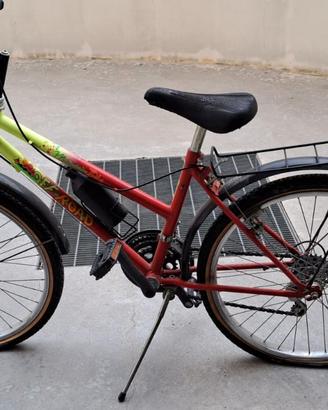 Bicicletta 24