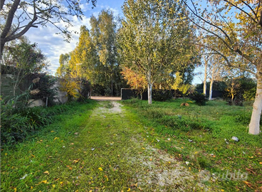 Terreno agricolo a SABAUDIA