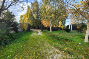 Terreno agricolo a SABAUDIA