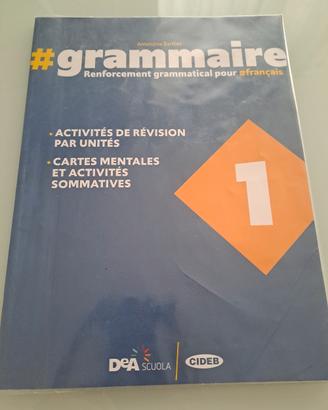 libricino rafforzamento grammatica francese