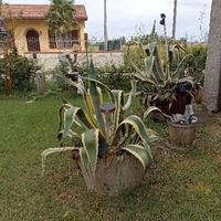 A DISPOSIZIONE PER GIARDINO