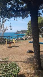 Case vacanze marina di camerota