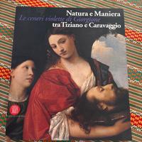 Le ceneri violette di Giorgione