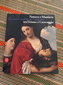 Le ceneri violette di Giorgione