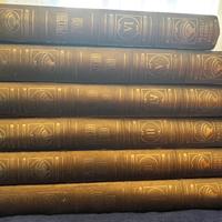 Libri: collana 6 voluni “Specchio d’oro”