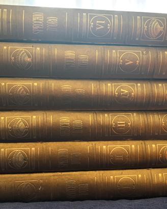 Libri: collana 6 voluni “Specchio d’oro”