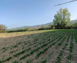 Terreno agricolo prospicente Zona Artig.Pagliare T