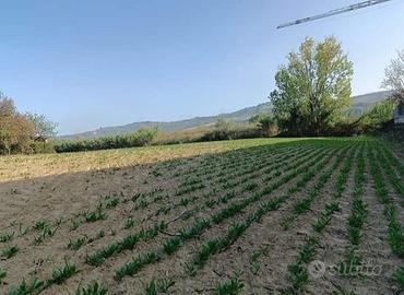 Terreno agricolo prospicente Zona Artig.Pagliare T