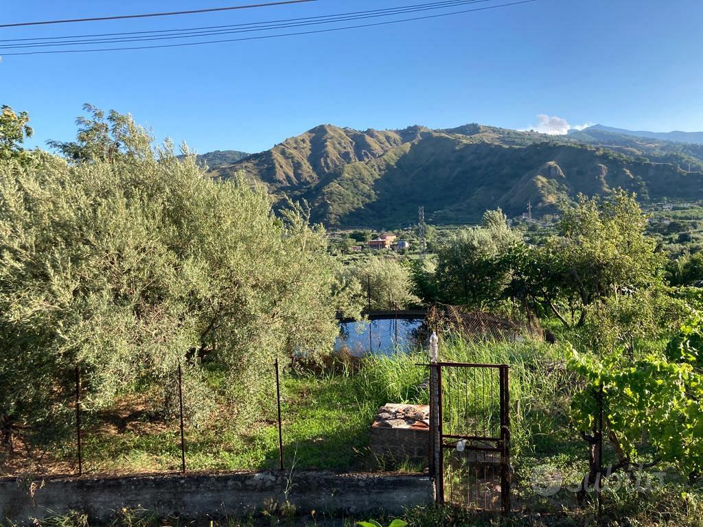 Terreno agricolo - Vista 5