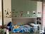 Immagine 5
