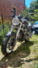 Ducati monster 