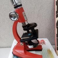 Microscopio + vetrini