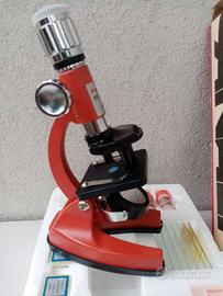 Microscopio + vetrini