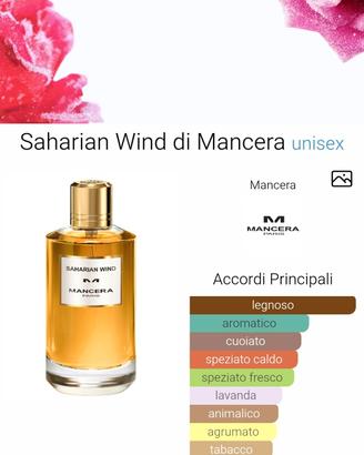 mancera saharian wind 