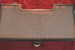 Griglia di protezione radiatore BMW F800R