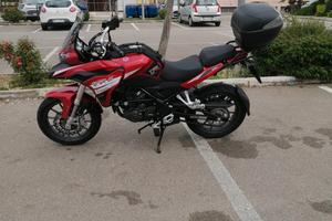 Moto Benelli trk 251