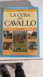 la cura del cavallo Chris May 