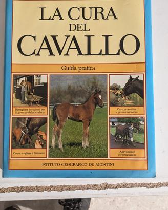 la cura del cavallo Chris May 