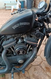 Harley-Davidson Sportster 883 - 2014