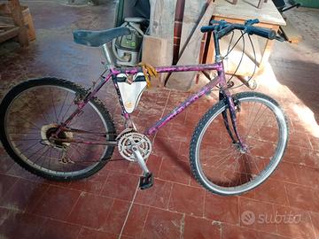 Bicicletta