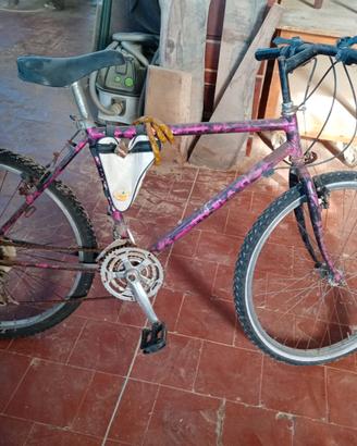 Bicicletta
