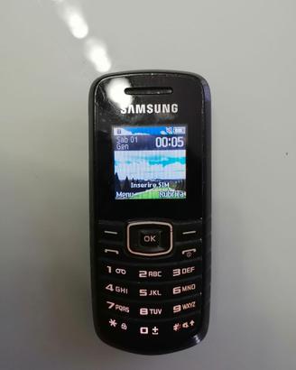 Samsung GT-E1080W