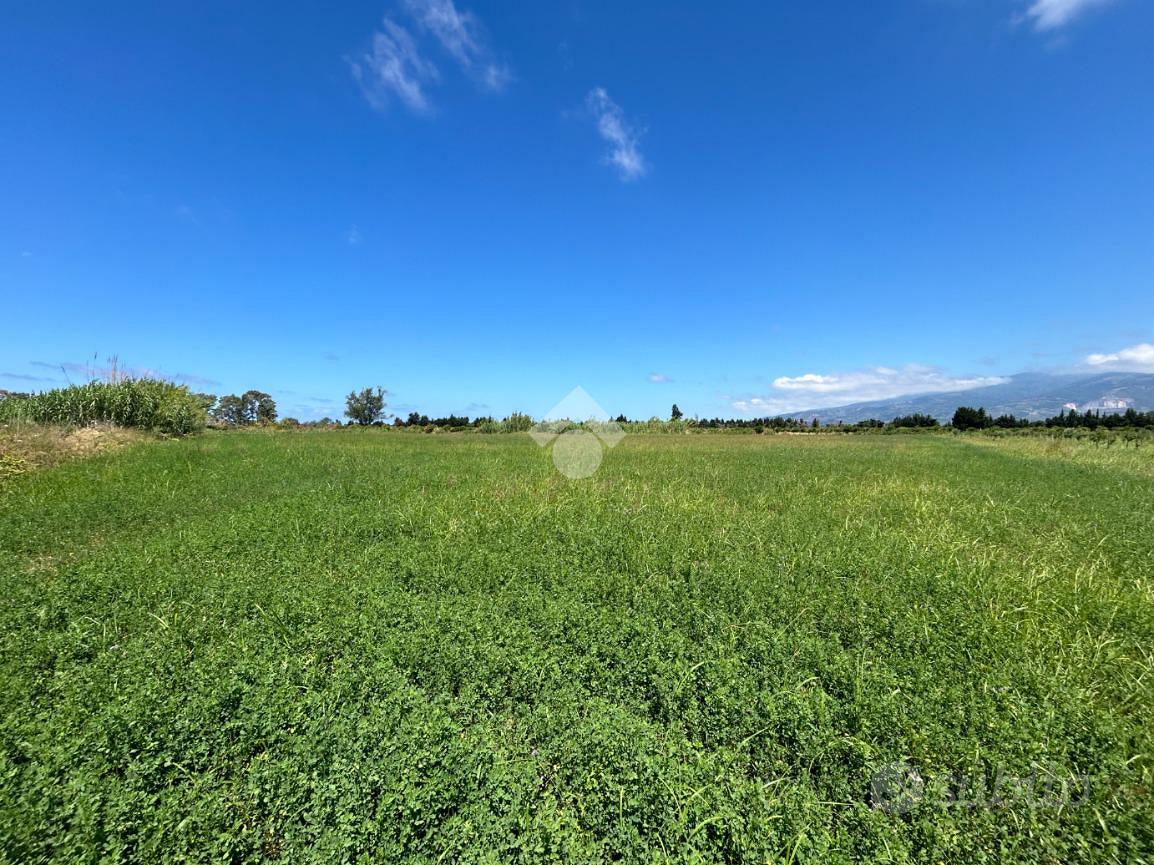 TER. AGRICOLO A LAMEZIA TERME - Vista 5