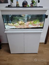 acquario con mobiletto e accessori