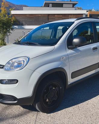 Fiat Panda Wild 4x4 85cv - !!!