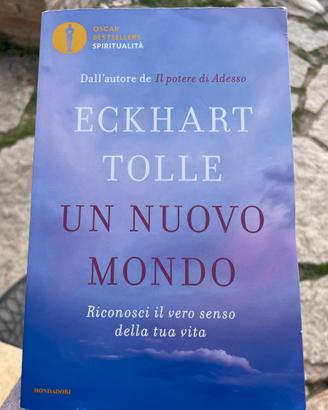 UN NUOVO MONDO