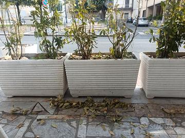 Vasi in cemento