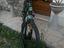 Immagine 2