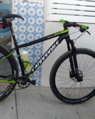 mtb29
