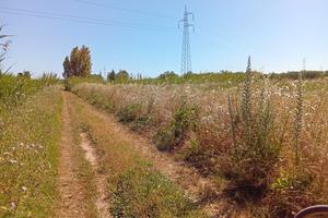 Terreno agricolo Villasor
