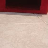 tiragraffi per gatti