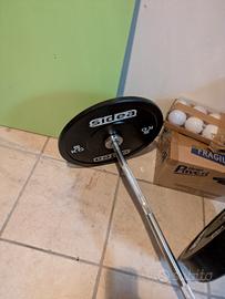 bilanciere Ez lacertosus