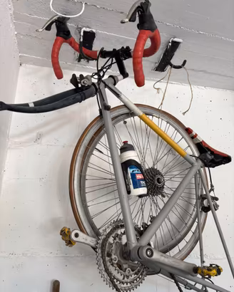 Bici da corsa