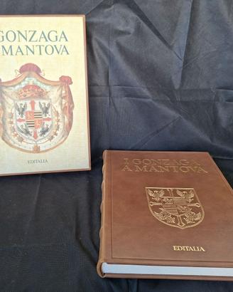 LIBRO DI PREGIO "I GONZAGA A MANTOVA" Editalia 199