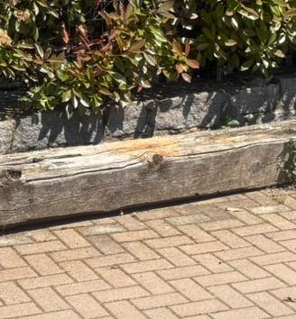 Asse di legno robusto