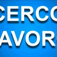 Badante x signora autosufficiente