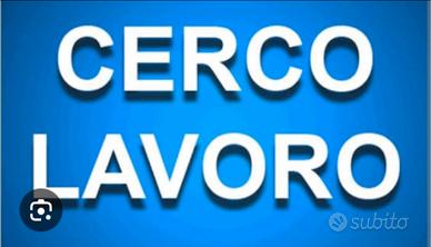 Badante x signora autosufficiente