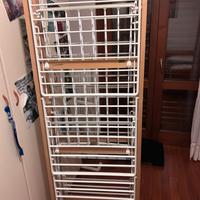 Stendino ursus foppapedretti