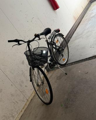 Bici da paseggio