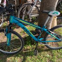 Bici ragazzo 21 pollici