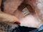 Immagine 6