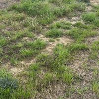 terreno con azienda completa