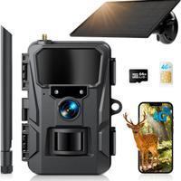 WOLFANG Fototrappola, 4G LTE