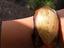 Immagine 1